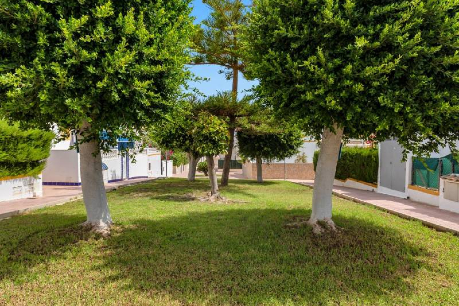 Herverkoop - Terraced house - Torrevieja - Los altos