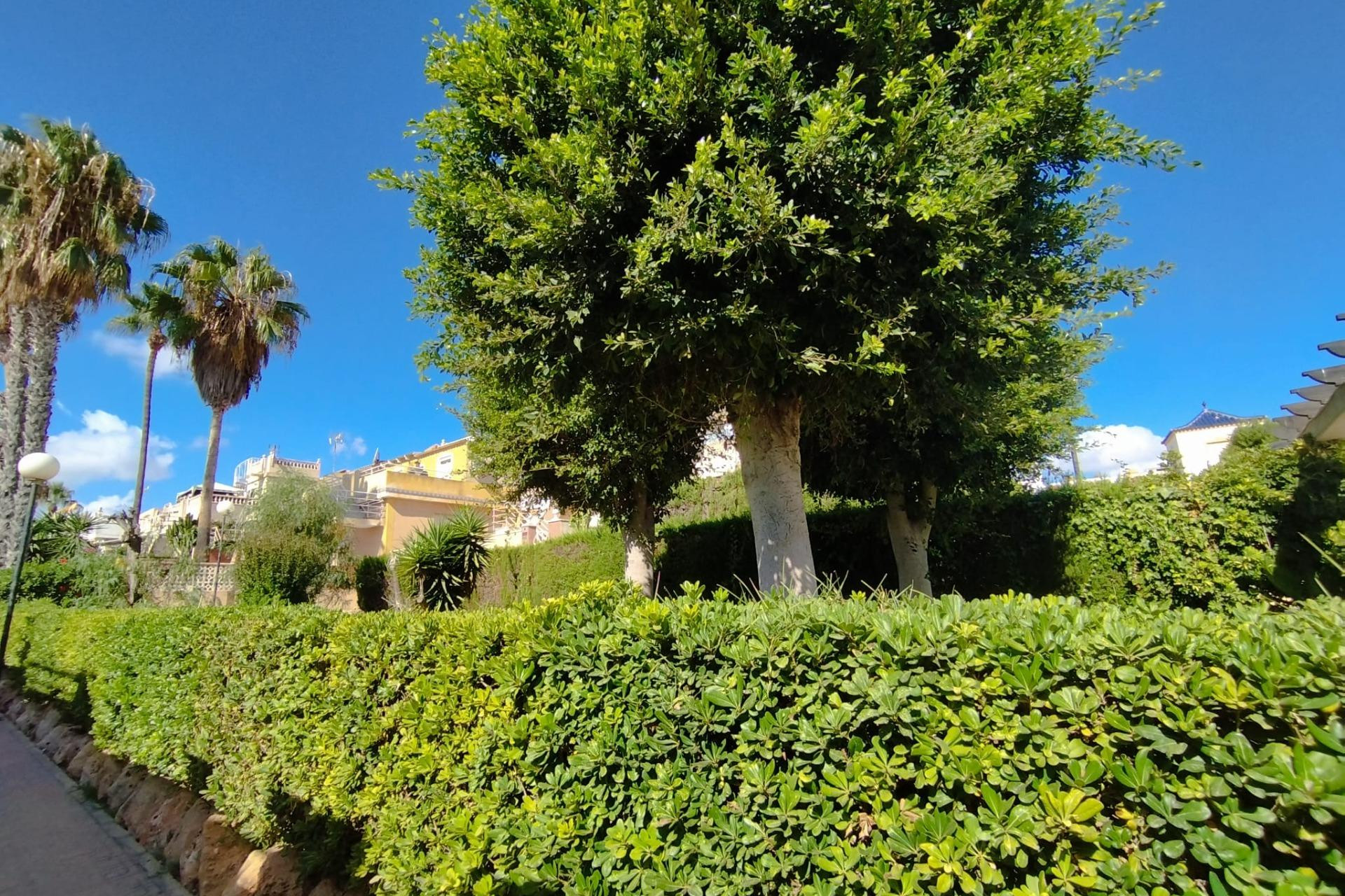 Herverkoop - Terraced house - Torrevieja - Los Balcones - Los Altos del Edén