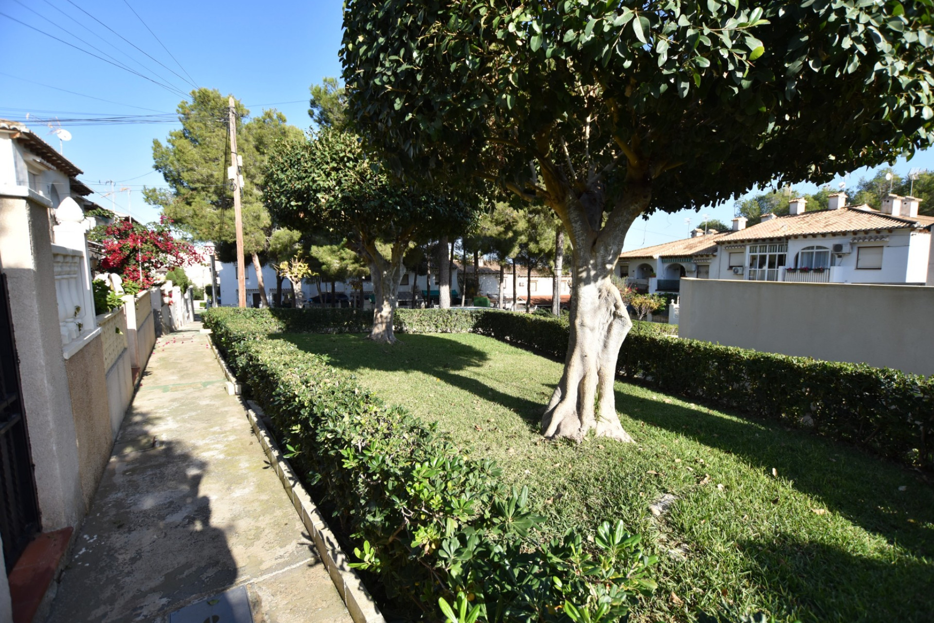 Herverkoop - Terraced house / Townhouse - Torrevieja - Lago Jardín II