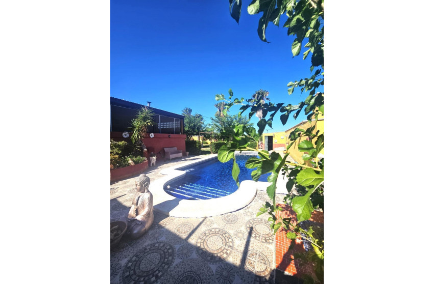 Herverkoop - Villa - Dolores - Comunidad valenciana