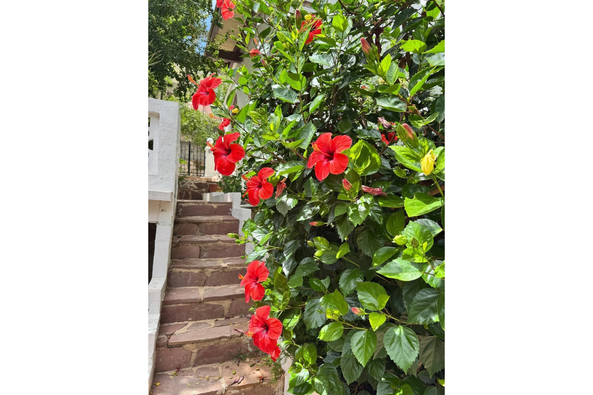 Herverkoop - Villa - Gandia - Urbanizaciones