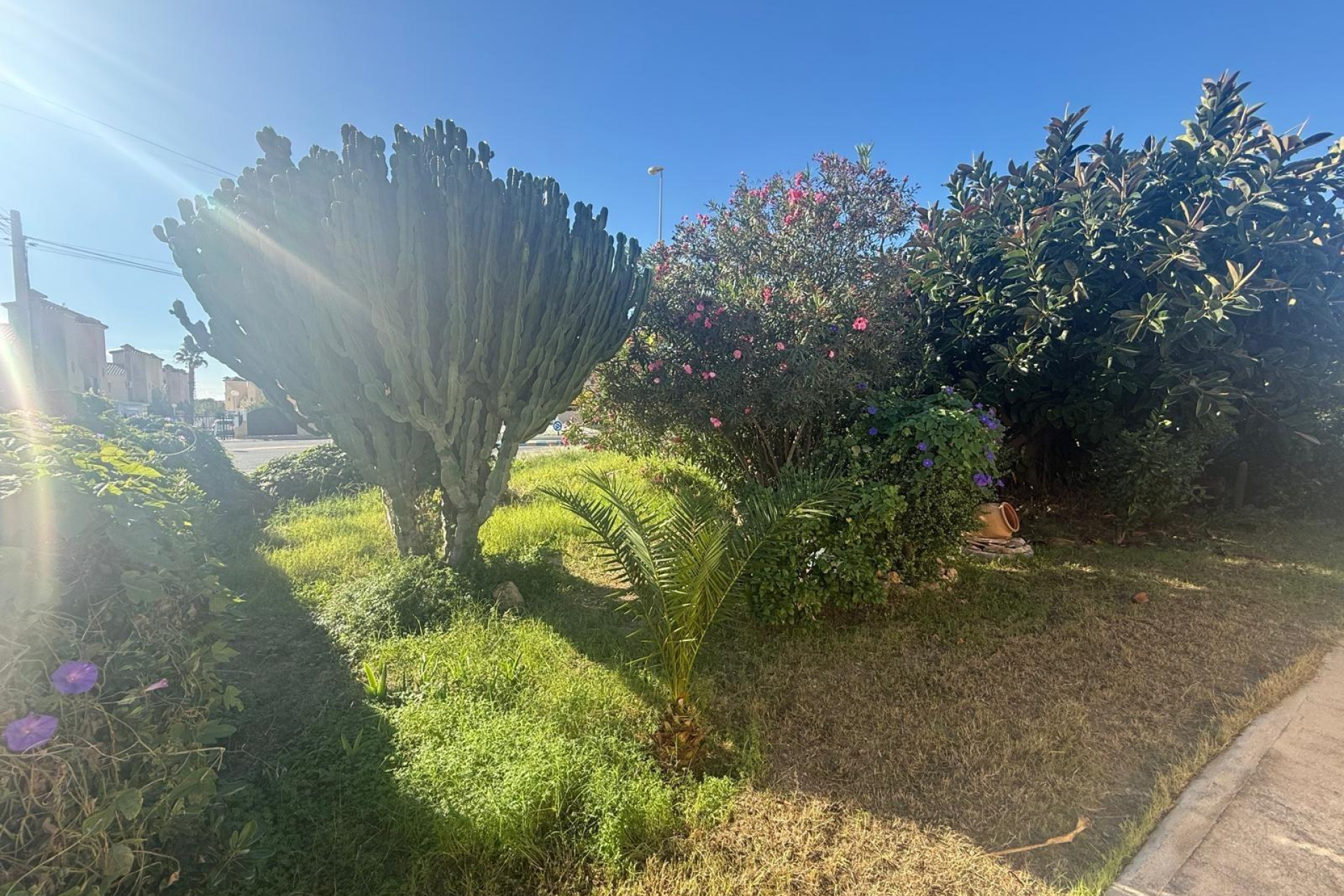 Herverkoop - Villa - Orihuela Costa - Playa Flamenca Norte