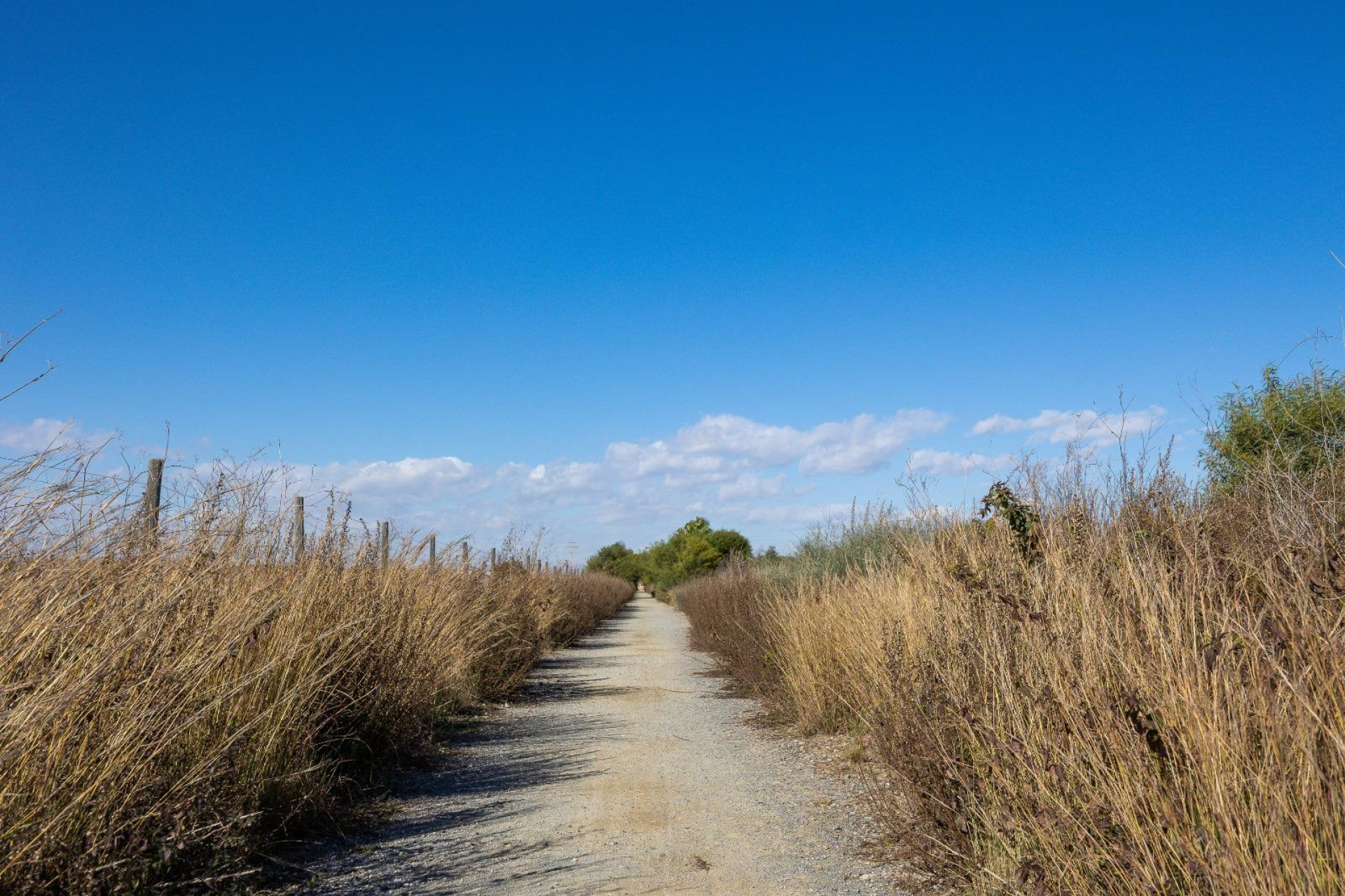 Herverkoop - Villa - Torrevieja - El limonar
