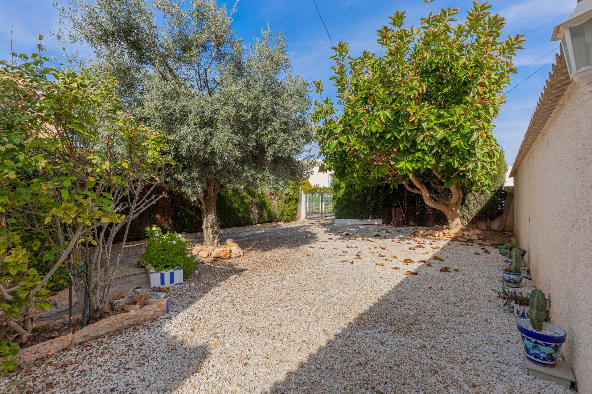 Herverkoop - Villa - Torrevieja - La siesta