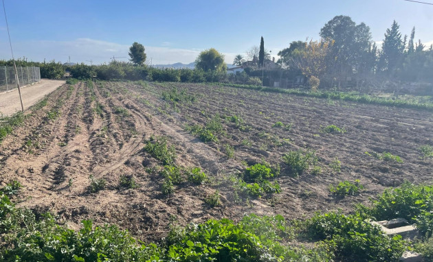 Land - Resale - Almoradí - JJM--92474