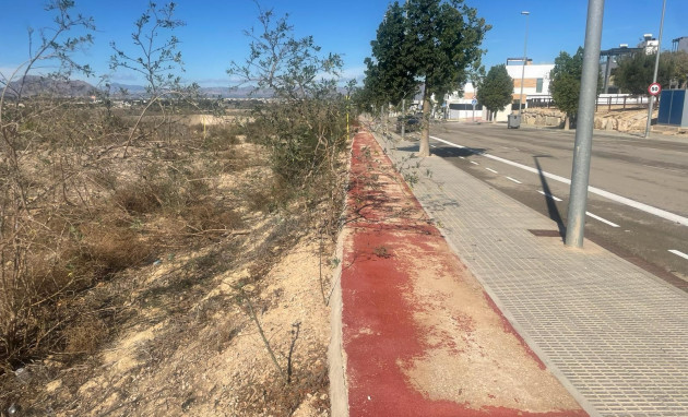 Land - Resale - Benijófar - JJM--95071