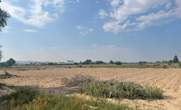 Land - Reventa - Almoradí - Almoradí