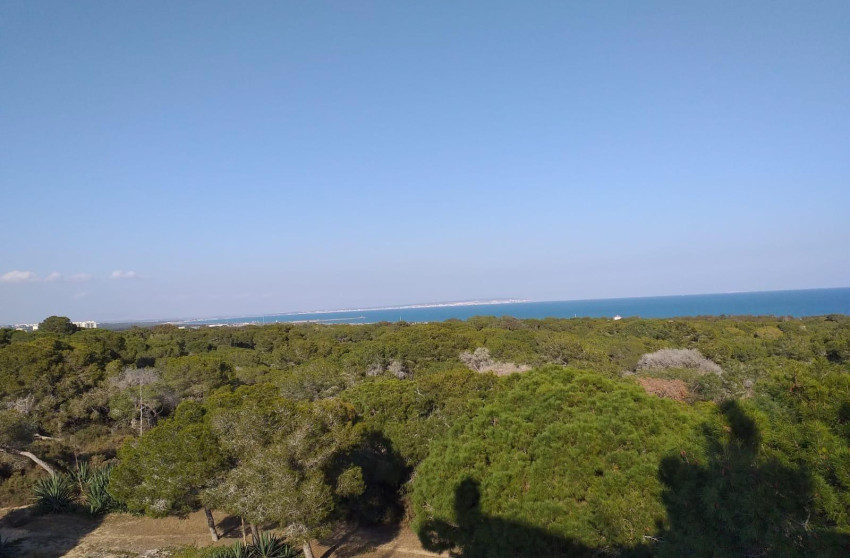 New Build - Ground floor apartment - Guardamar del Segura - Pueblo