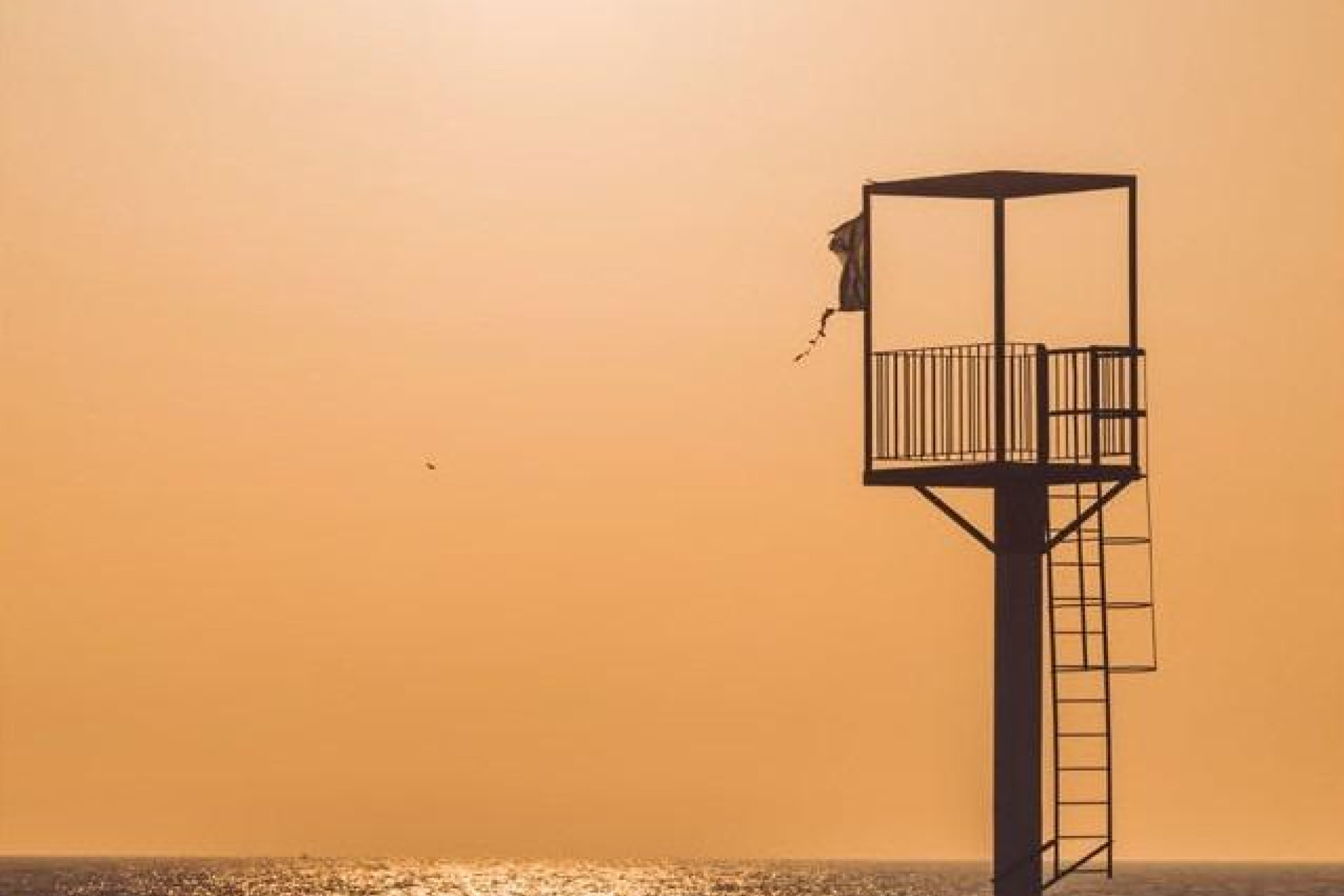 Nieuwbouw - Apartment - Almerimar