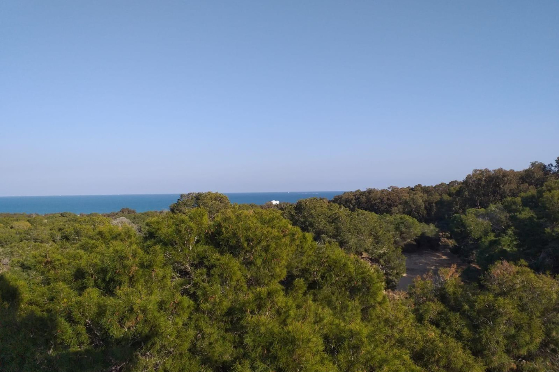 Nieuwbouw - Apartment - Guardamar del Segura - Pueblo