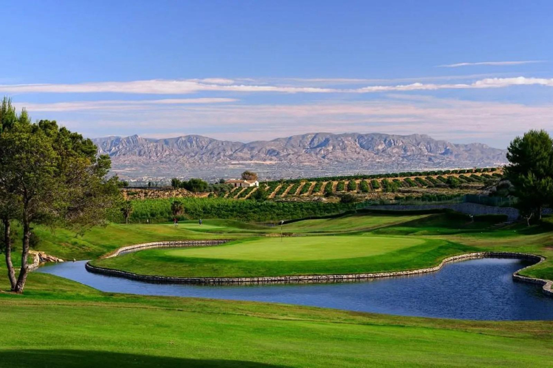 Nieuwbouw - Bungalow - Gelijkvloers - Algorfa - La Finca Golf