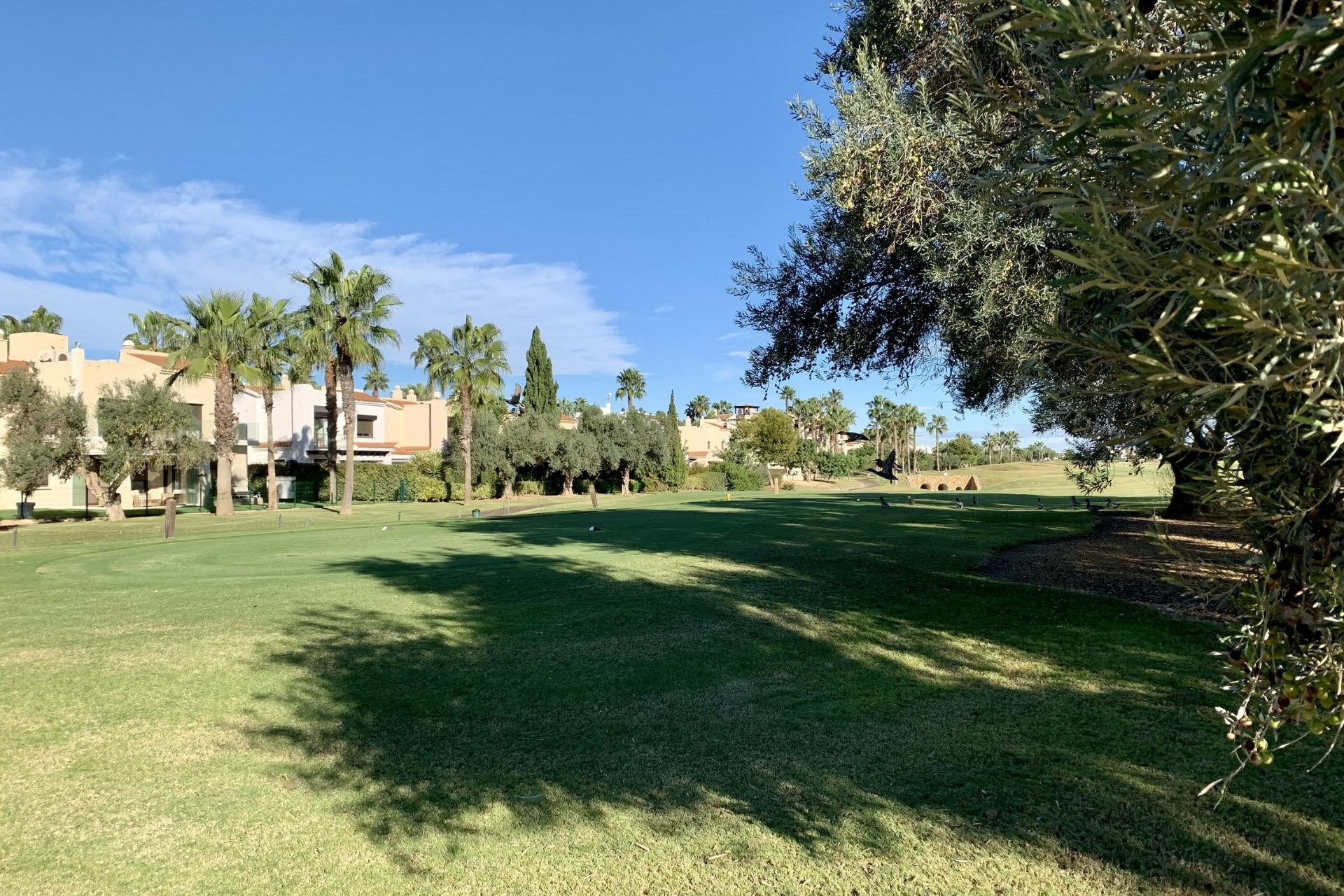 Nieuwbouw - Bungalow - Gelijkvloers - San Javier - Roda Golf