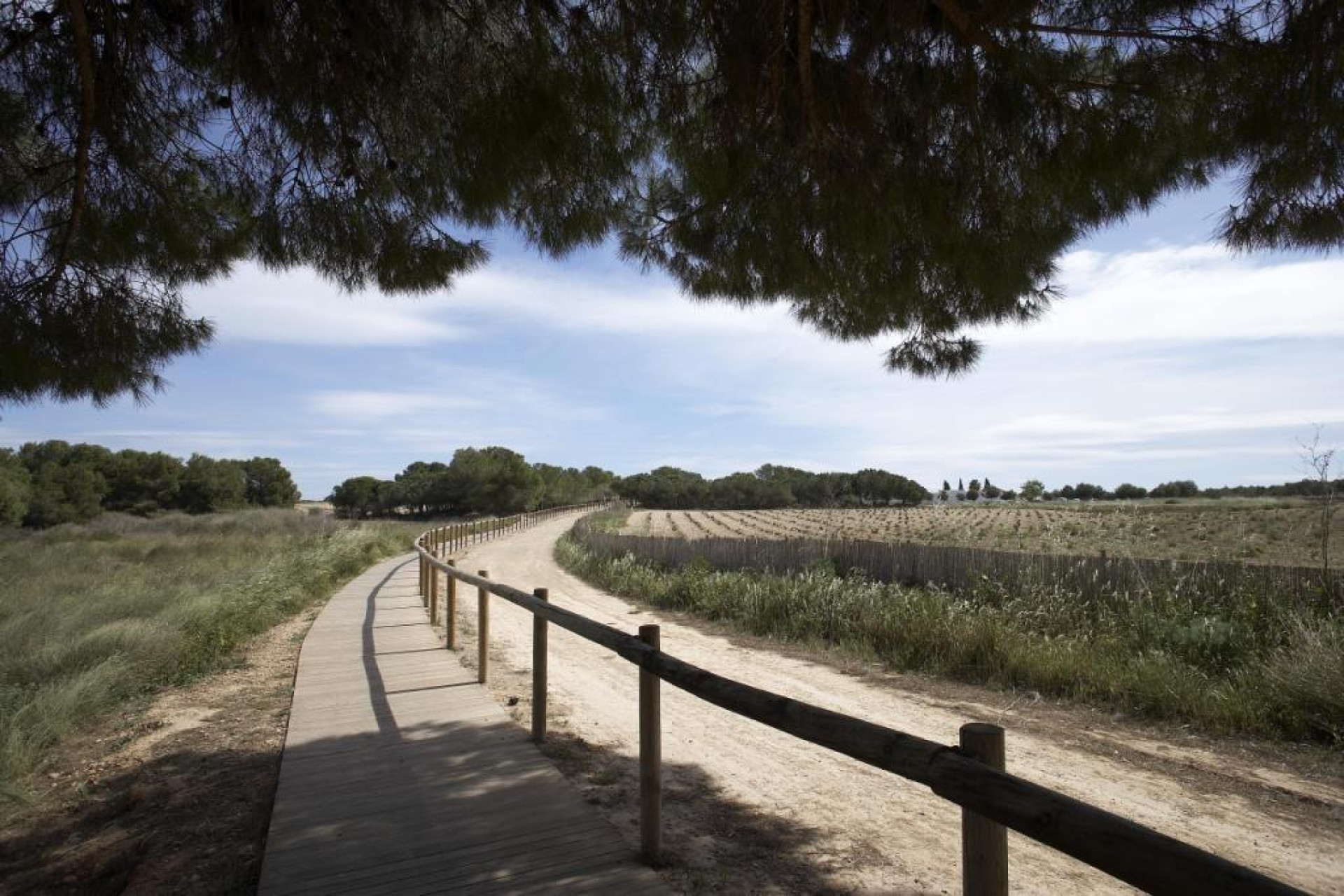 Nieuwbouw - Bungalow - Gelijkvloers - Torrevieja - Aguas Nuevas