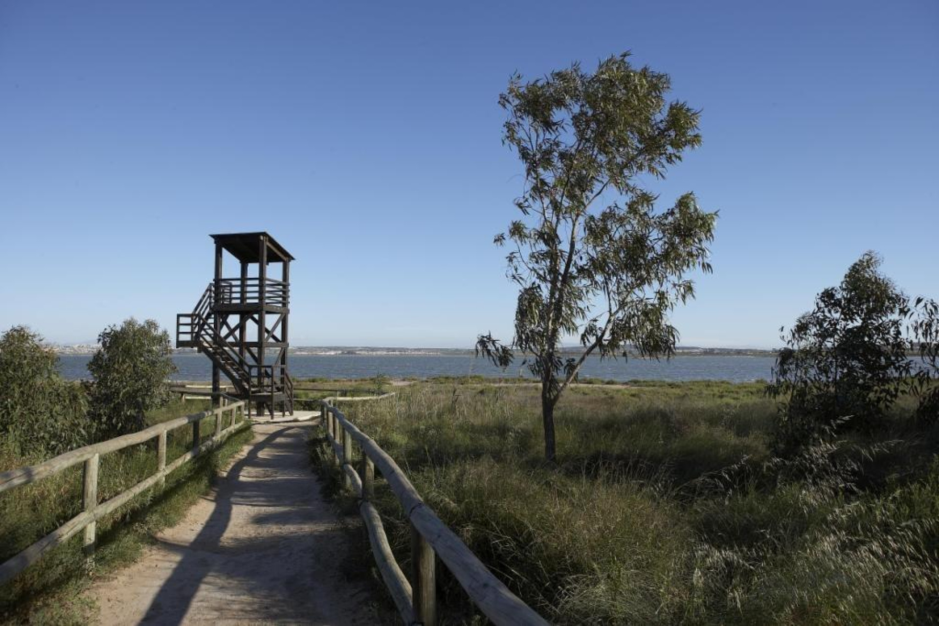 Nieuwbouw - Bungalow - Gelijkvloers - Torrevieja - Altos del Sol