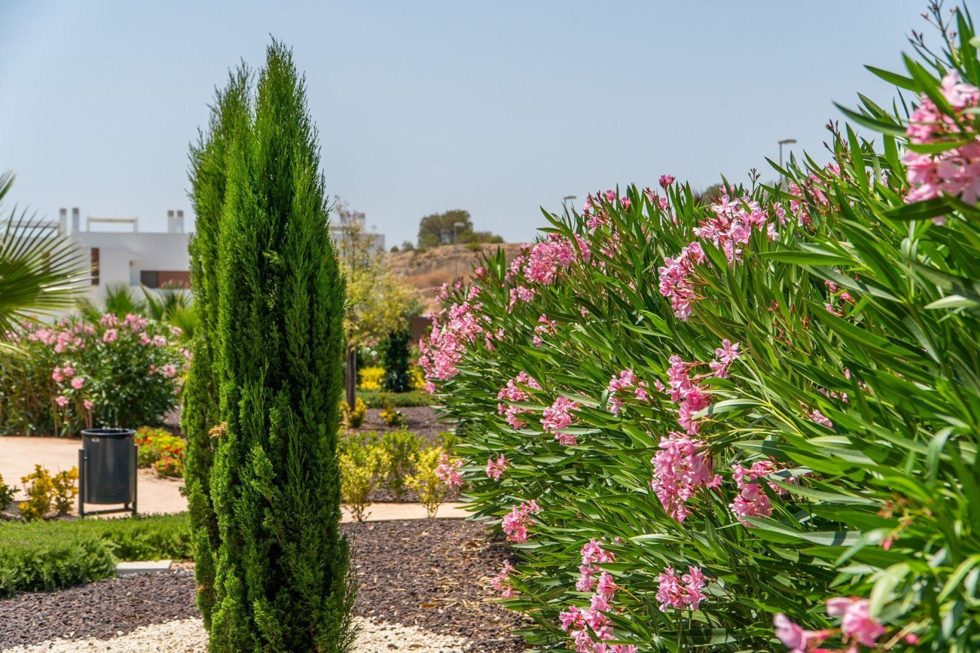 Nieuwbouw - Town house - Orihuela - Vistabella Golf