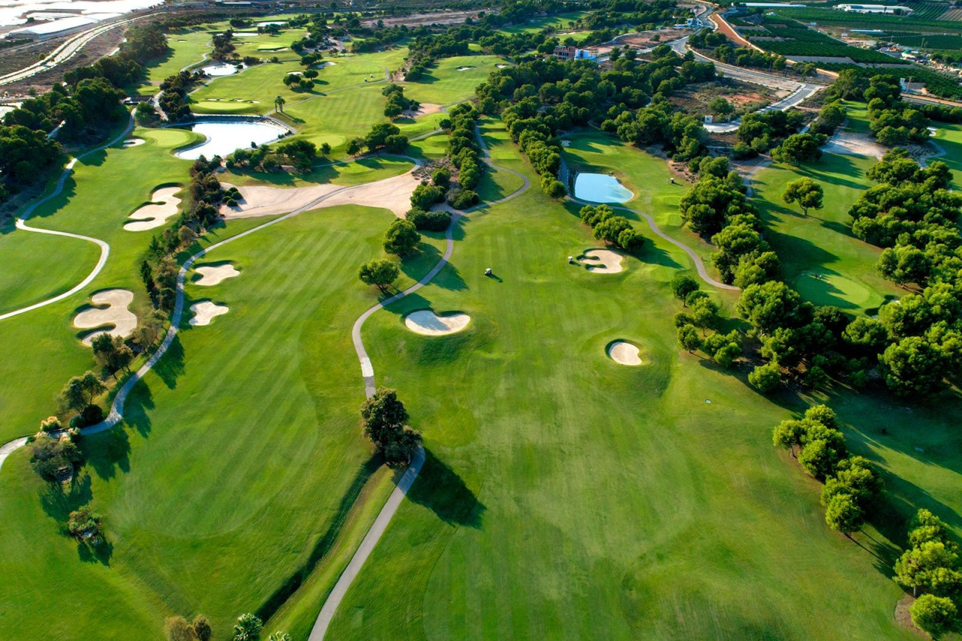 Nieuwbouw - Villa - Pilar de la Horadada - Lo Romero Golf