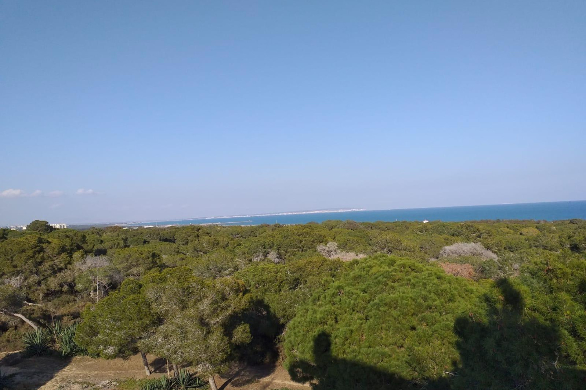 Nouvelle construction - Ground floor apartment - Guardamar del Segura - Pueblo