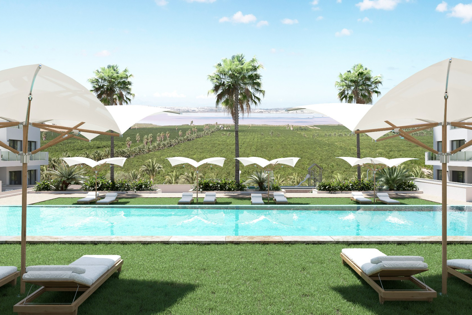 Obra nueva - Apartment - Torrevieja - Los balcones