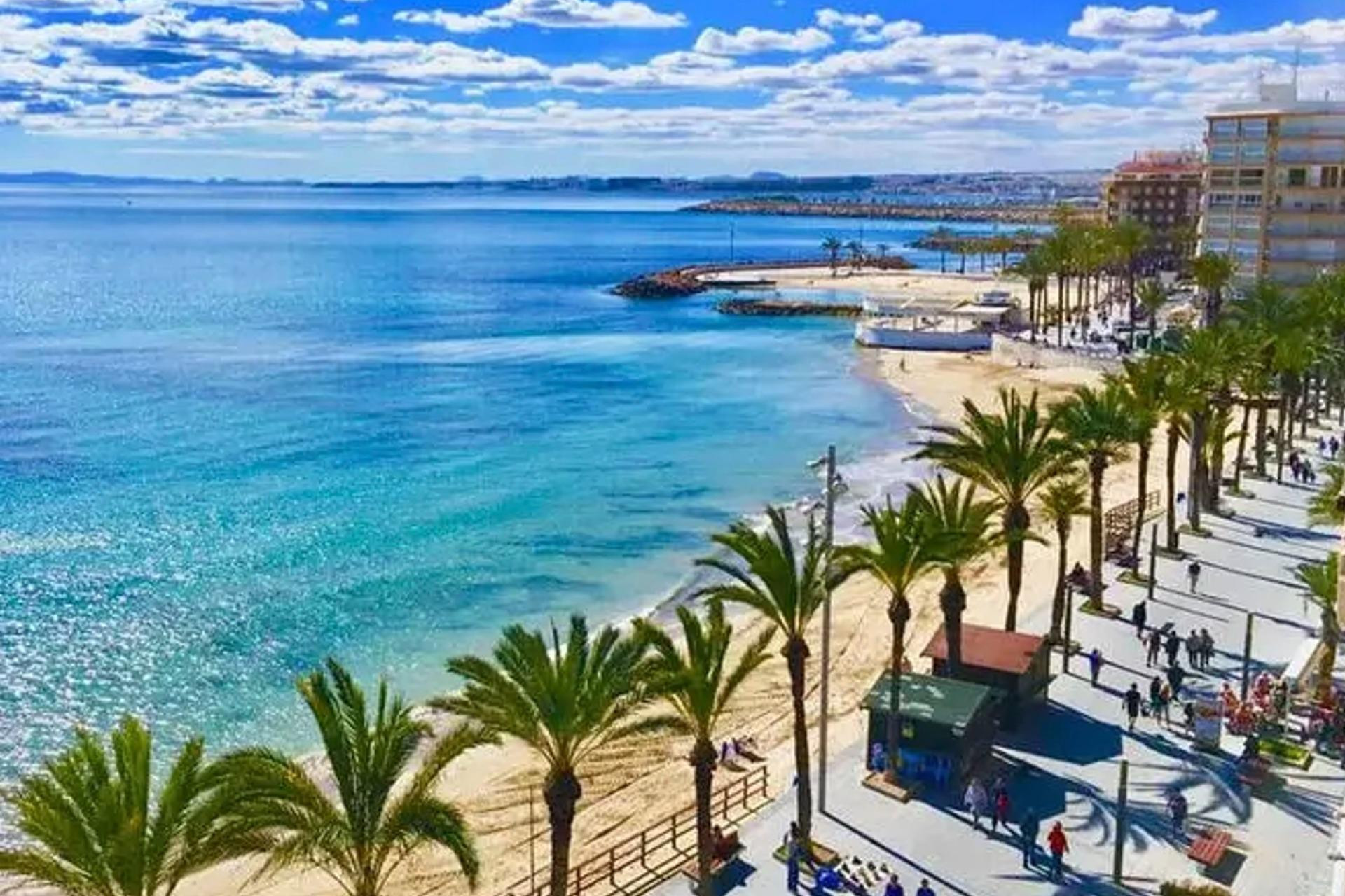 Obra nueva - Ático - Torrevieja - Playa del Cura