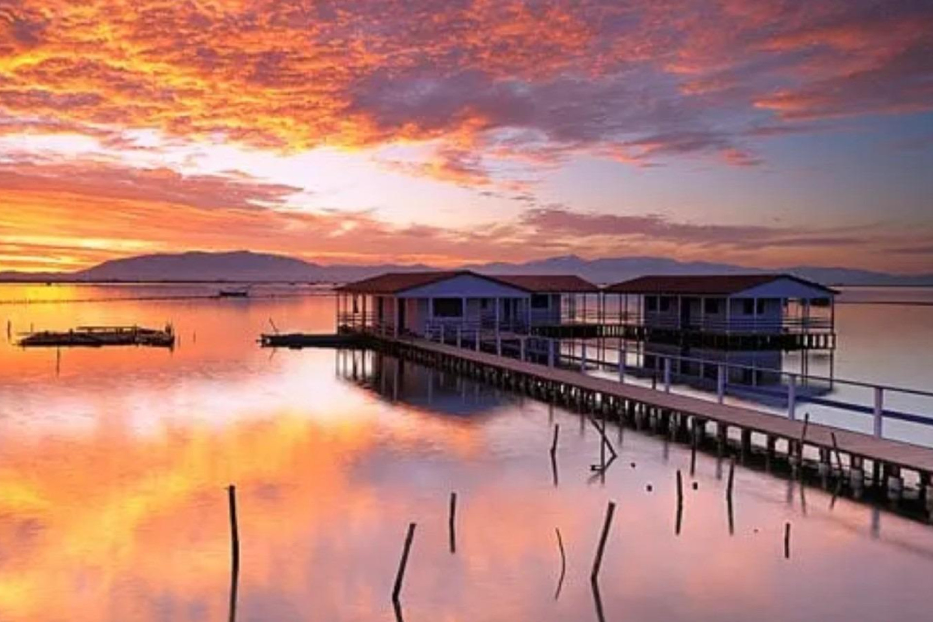 Obra nueva - Top Floor Bungalow - San Pedro del Pinatar - Los Pinos