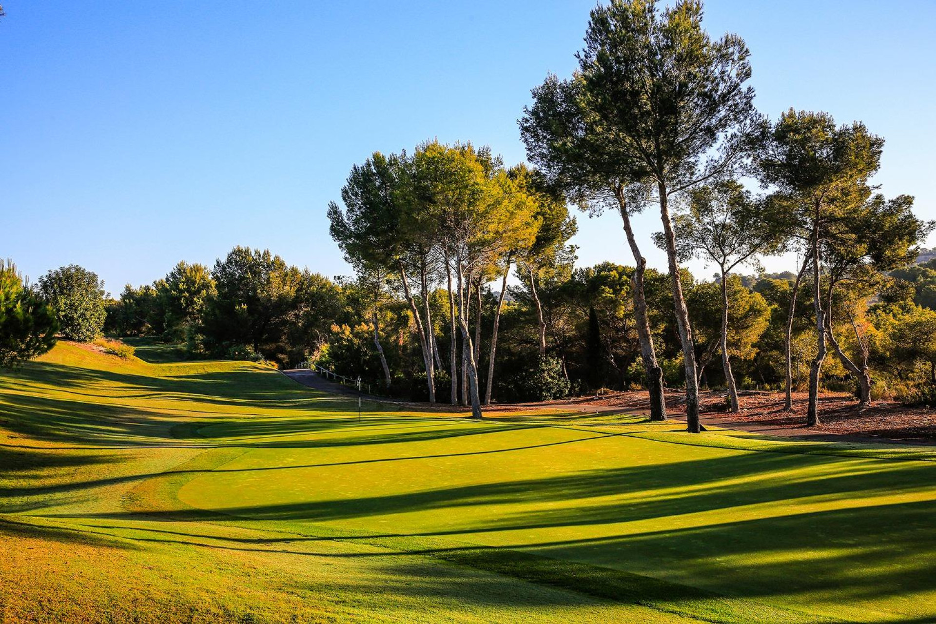 Obra nueva - Villa - Orihuela - Las Colinas Golf