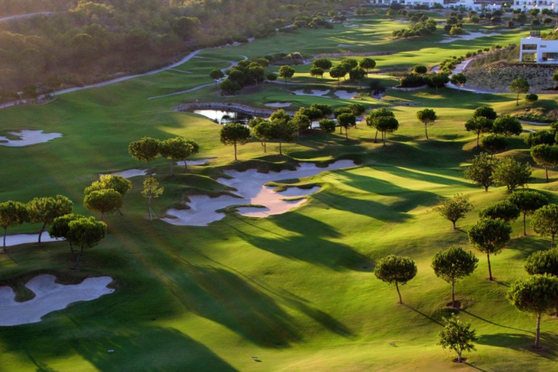 Obra nueva - Villa - Orihuela - Las Colinas Golf
