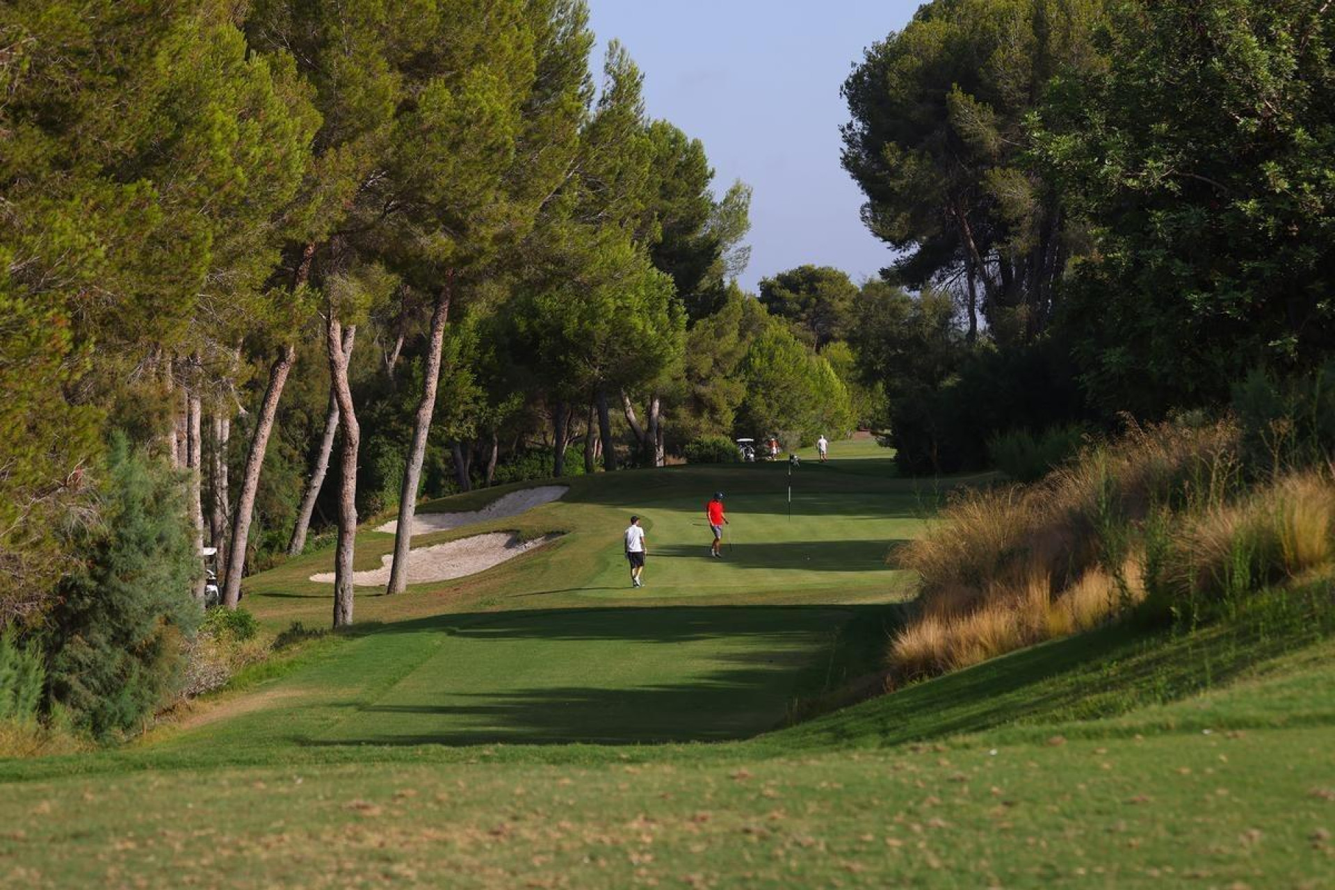 Obra nueva - Villa - Orihuela - Las Colinas Golf