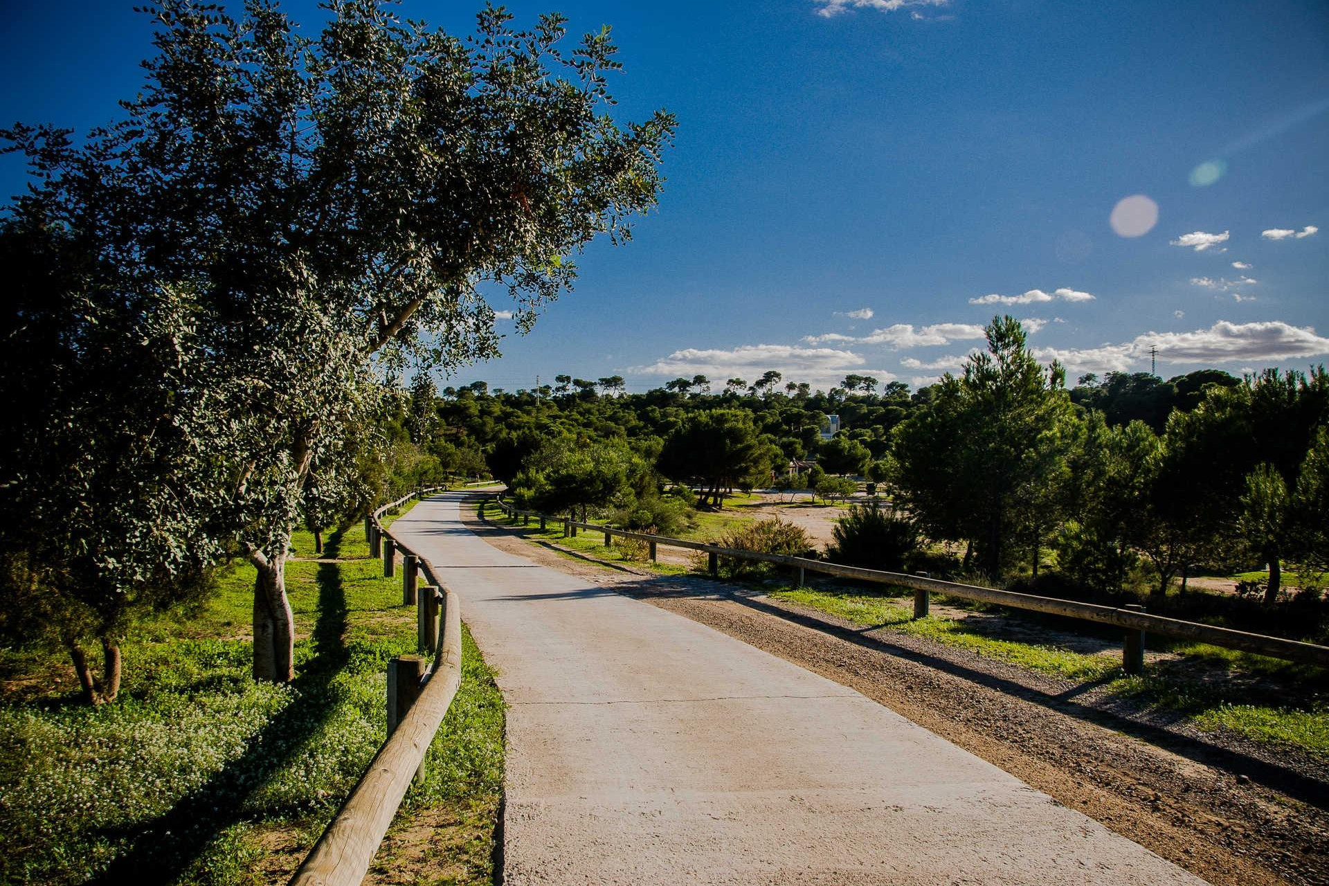 Obra nueva - Villa - Rojales - Doña Pena