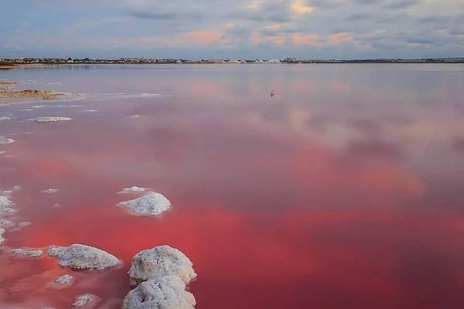 Obra nueva - Villa - Torrevieja - Lago jardin