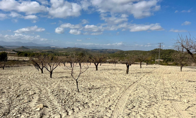 Parcelle / Terrain - Revente - Bullas - Costa Calida