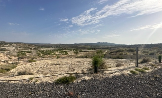 Plot of Land - Resale - Torremendo - Torremendo