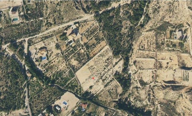 Plot - Reventa - Crevillente - Crevillente