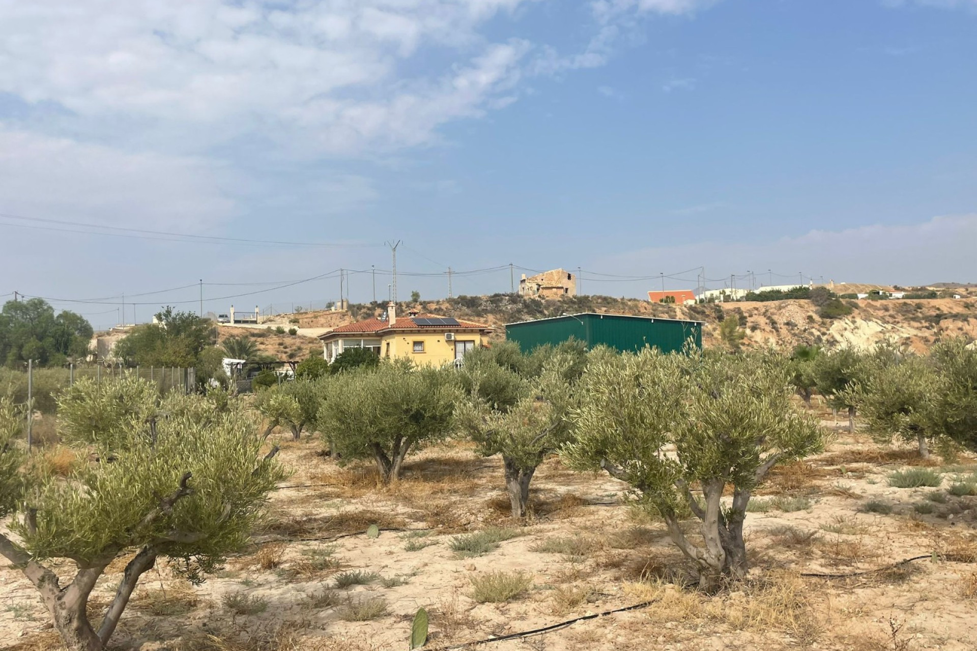 Resale - 5. Finca / Country Property - Abanilla