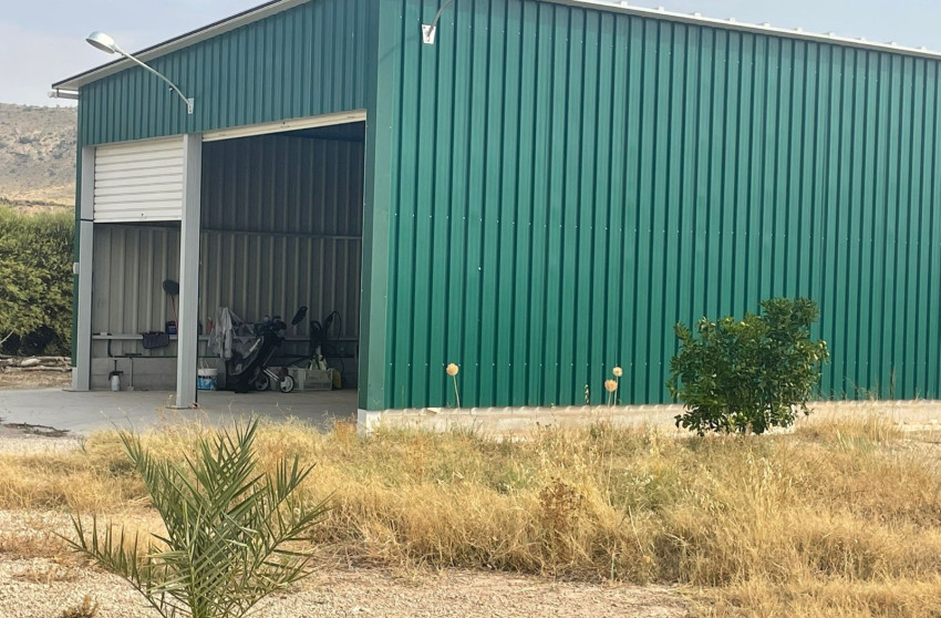 Resale - 5. Finca / Country Property - Abanilla