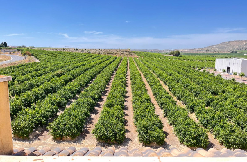 Resale - Apartment - Algorfa - Algorfa - Village