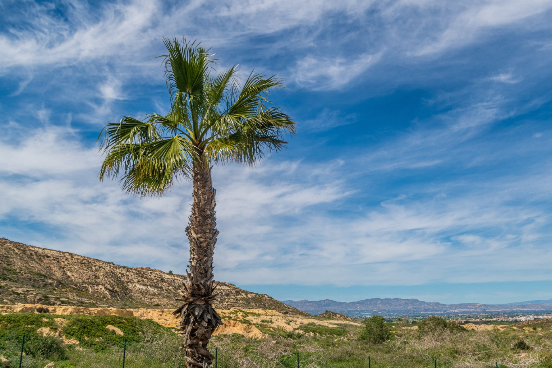 Resale - Apartment - Algorfa - LA FINCA GOLF / ALGORFA