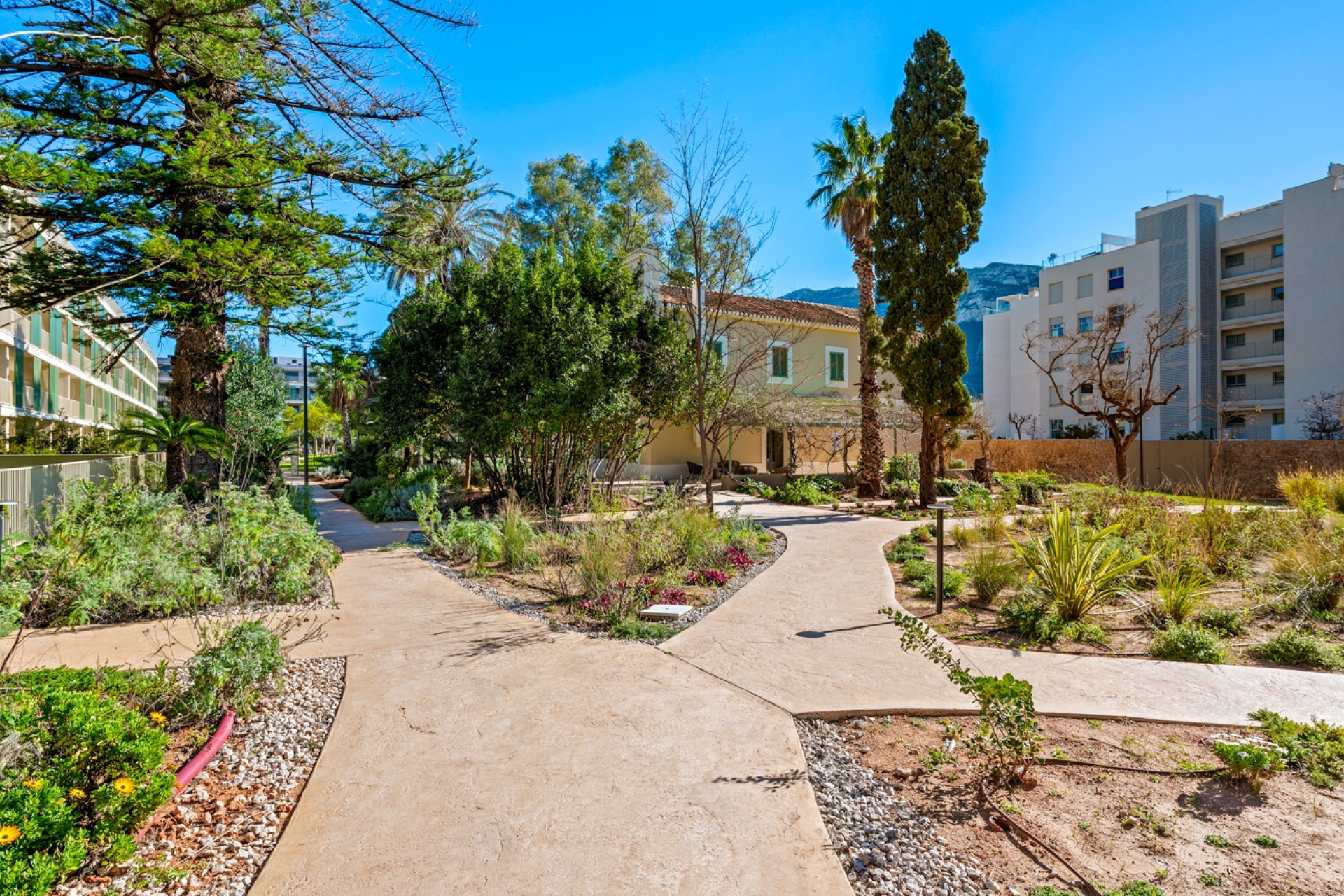 Resale - Apartment - Denia - Denia - Town