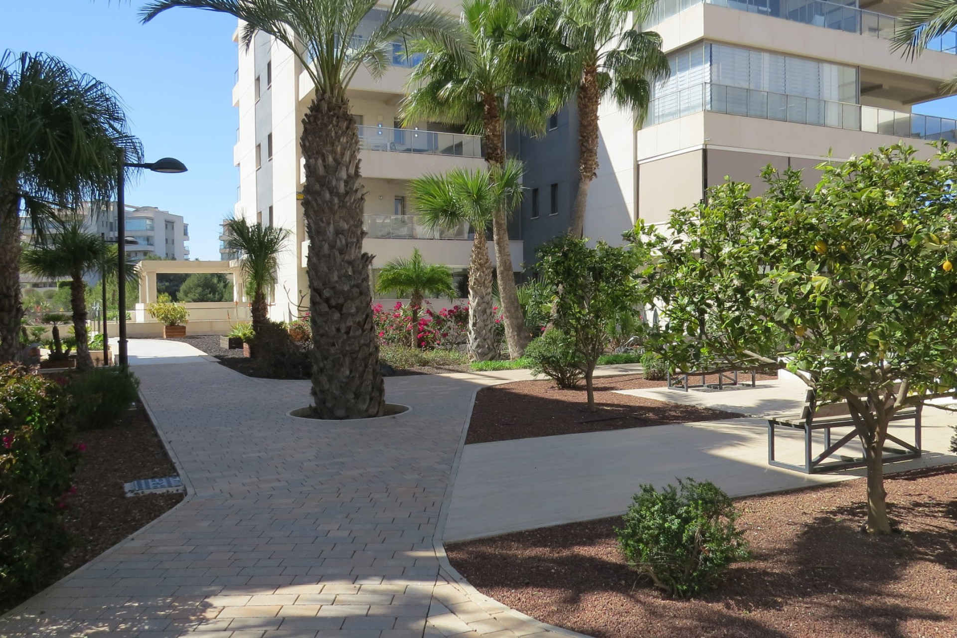 Resale - Apartment - Flat - Orihuela Costa - Villamartín