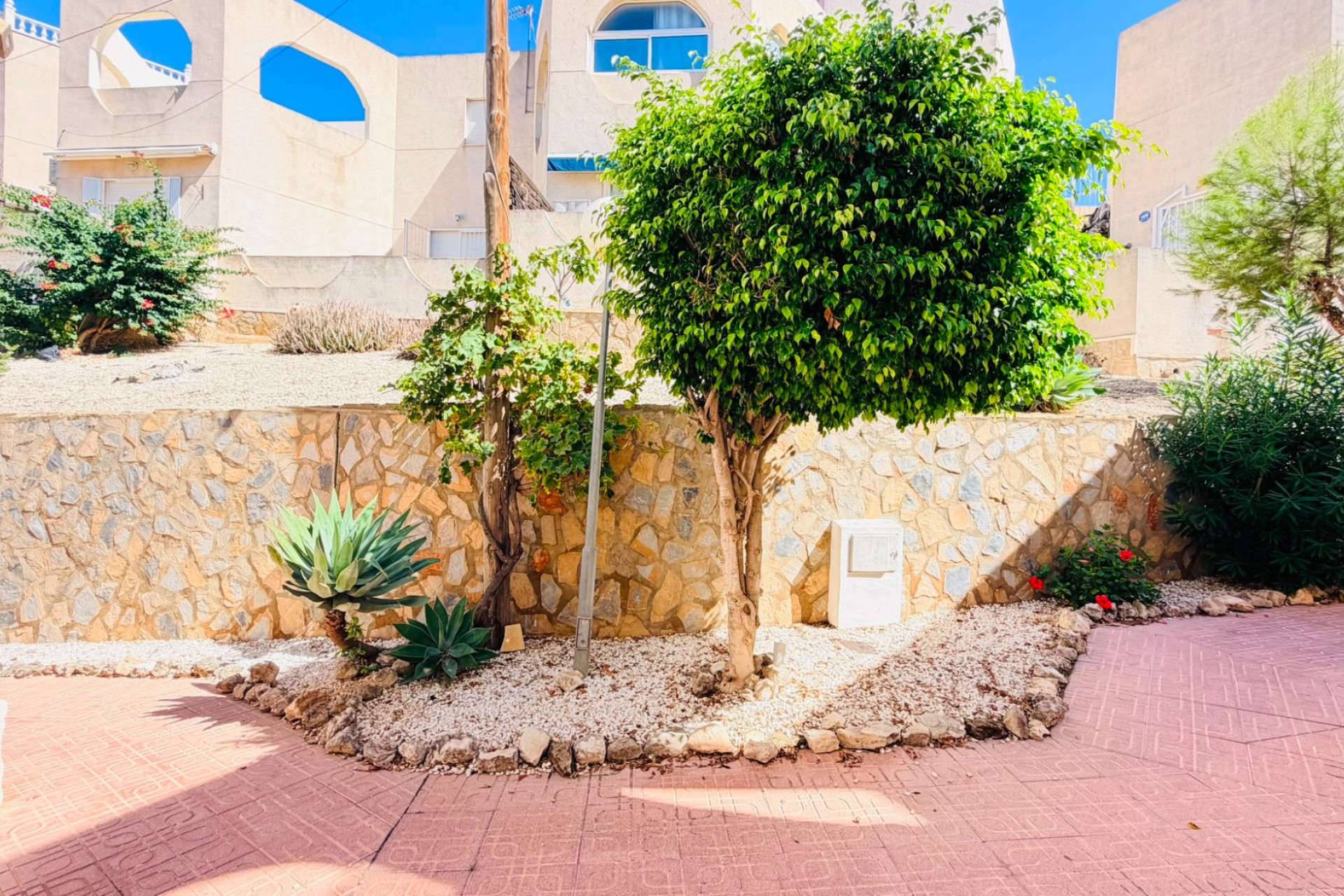 Resale - Apartment - Flat - San Miguel de Salinas