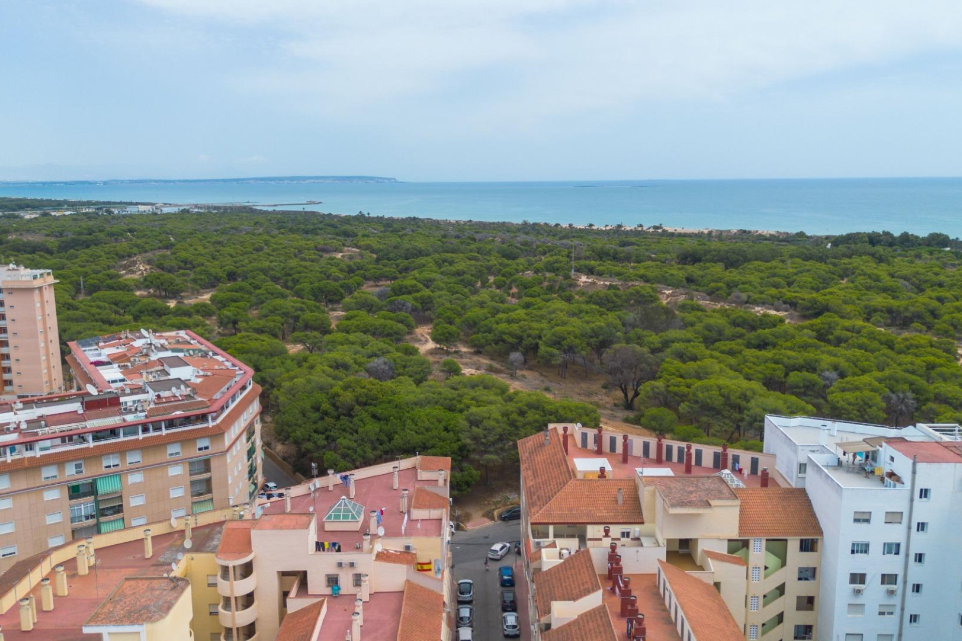 Resale - Apartment - Guardamar del Segura - CENTRO