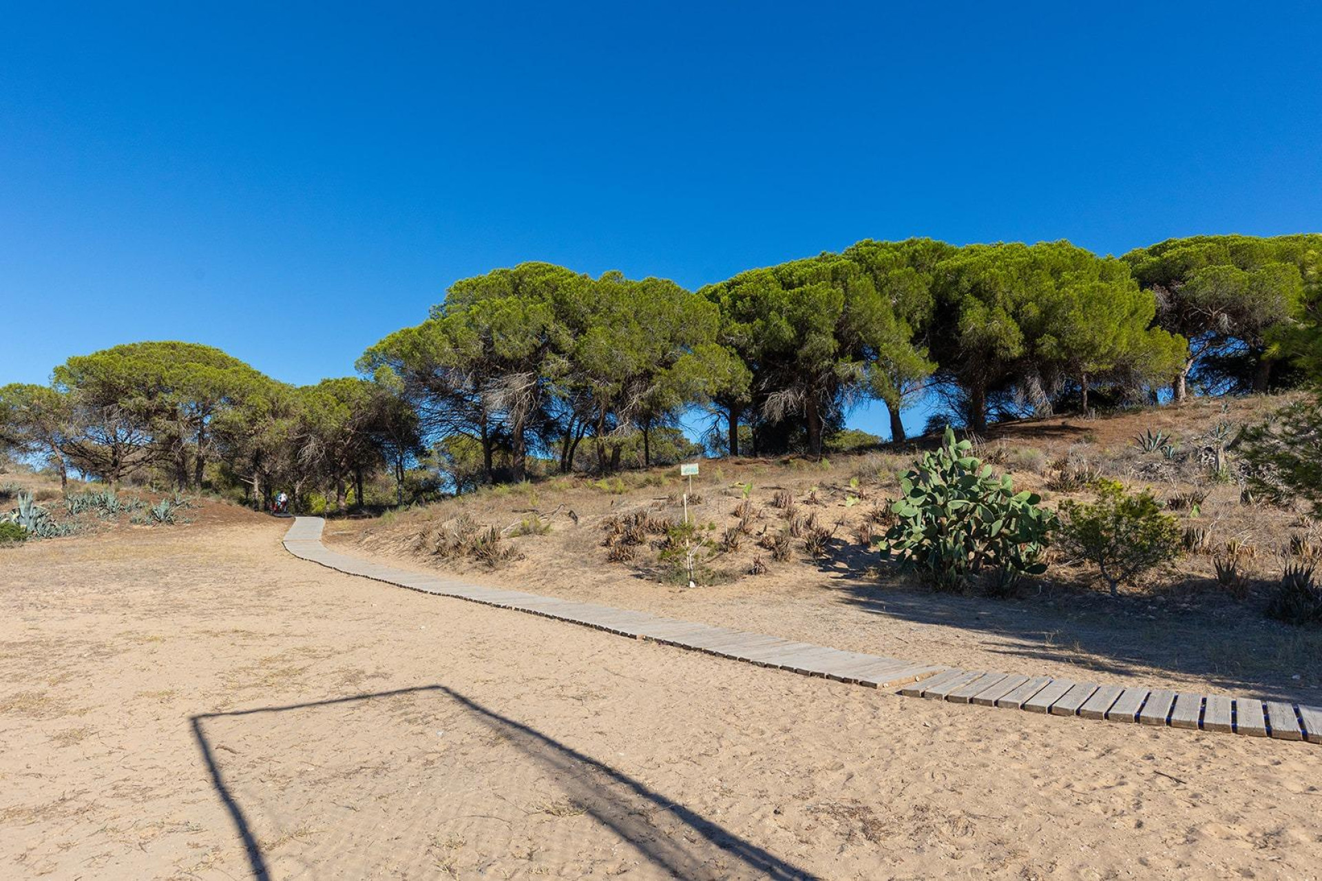 Resale - Apartment - Guardamar del Segura - Urb. pinomar