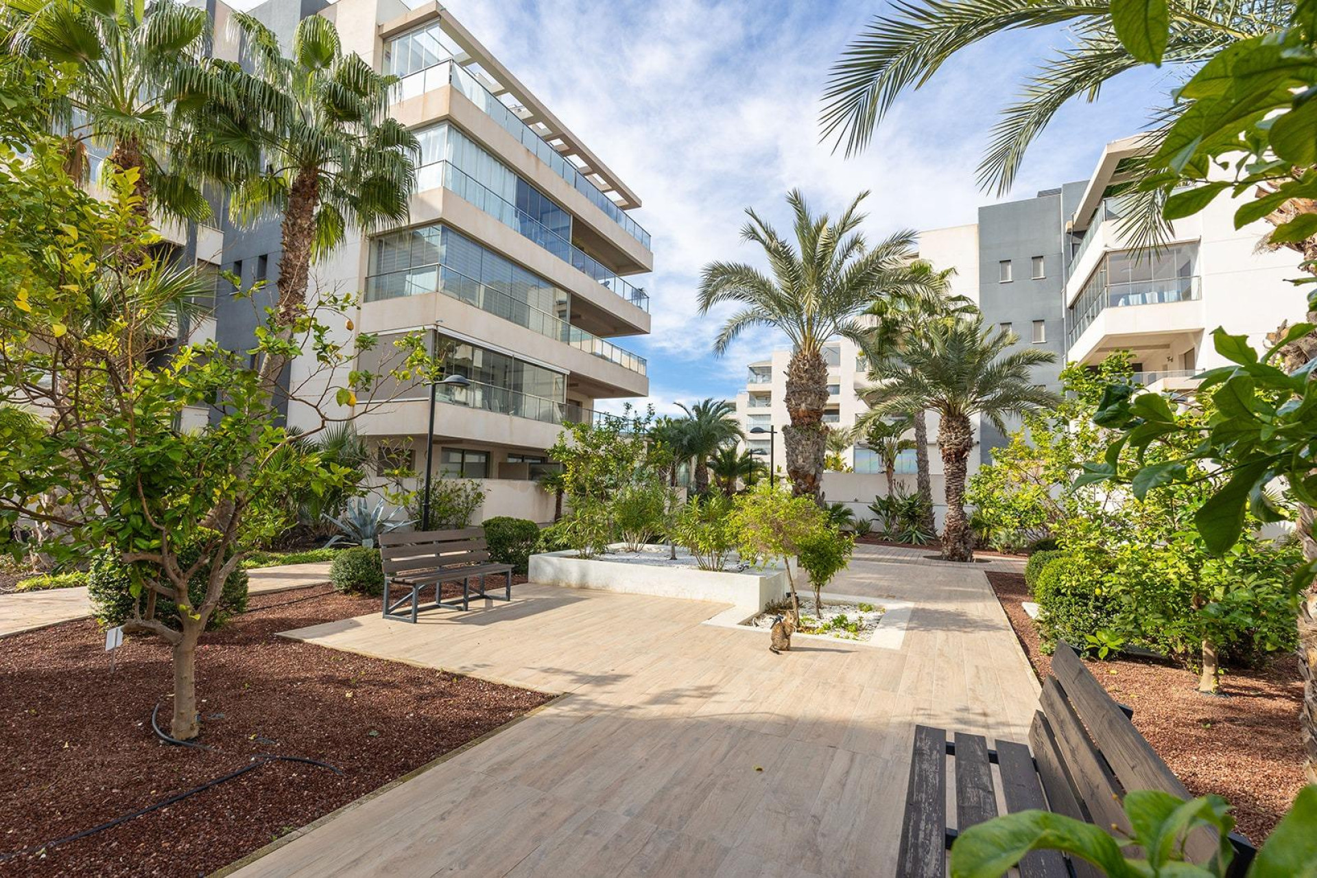 Resale - Apartment - Orihuela Costa - Los Dolses