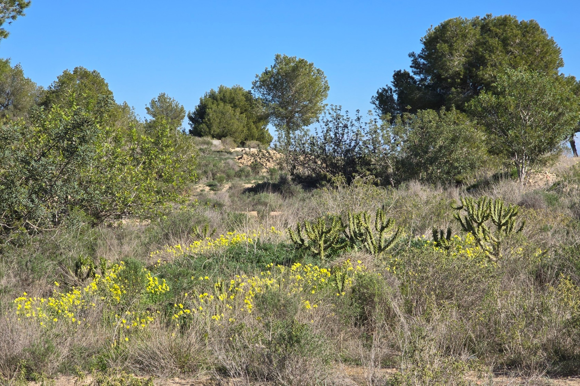 Resale - Apartment - Orihuela Costa - Villamartin