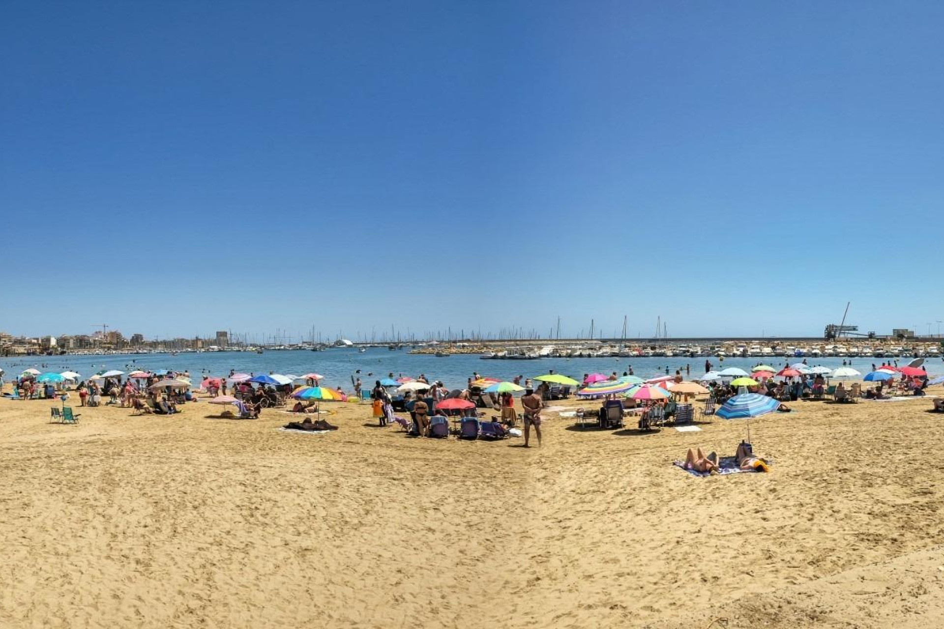 Resale - Apartment - Torrevieja - Acequion