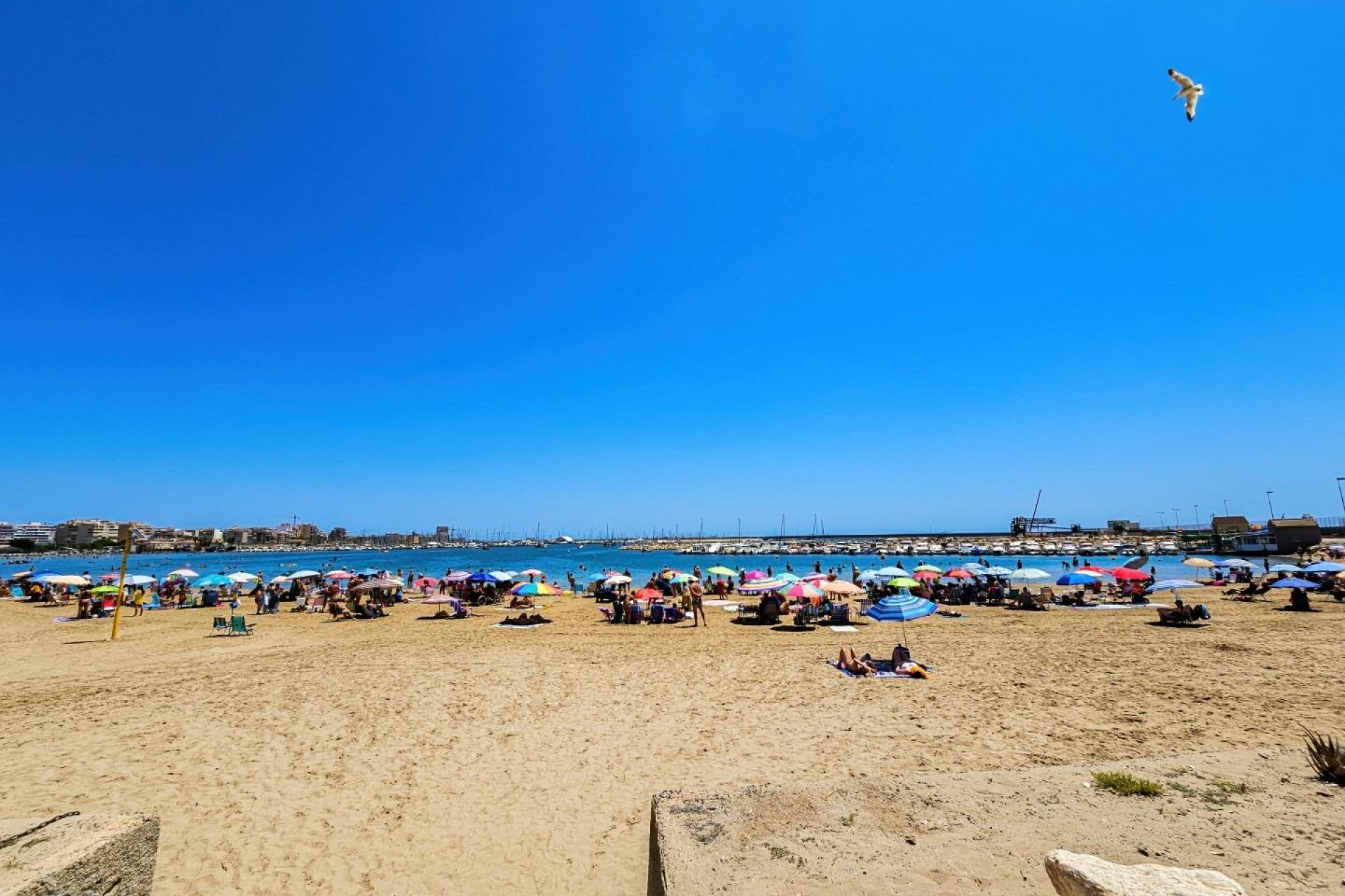 Resale - Apartment - Torrevieja - Acequion