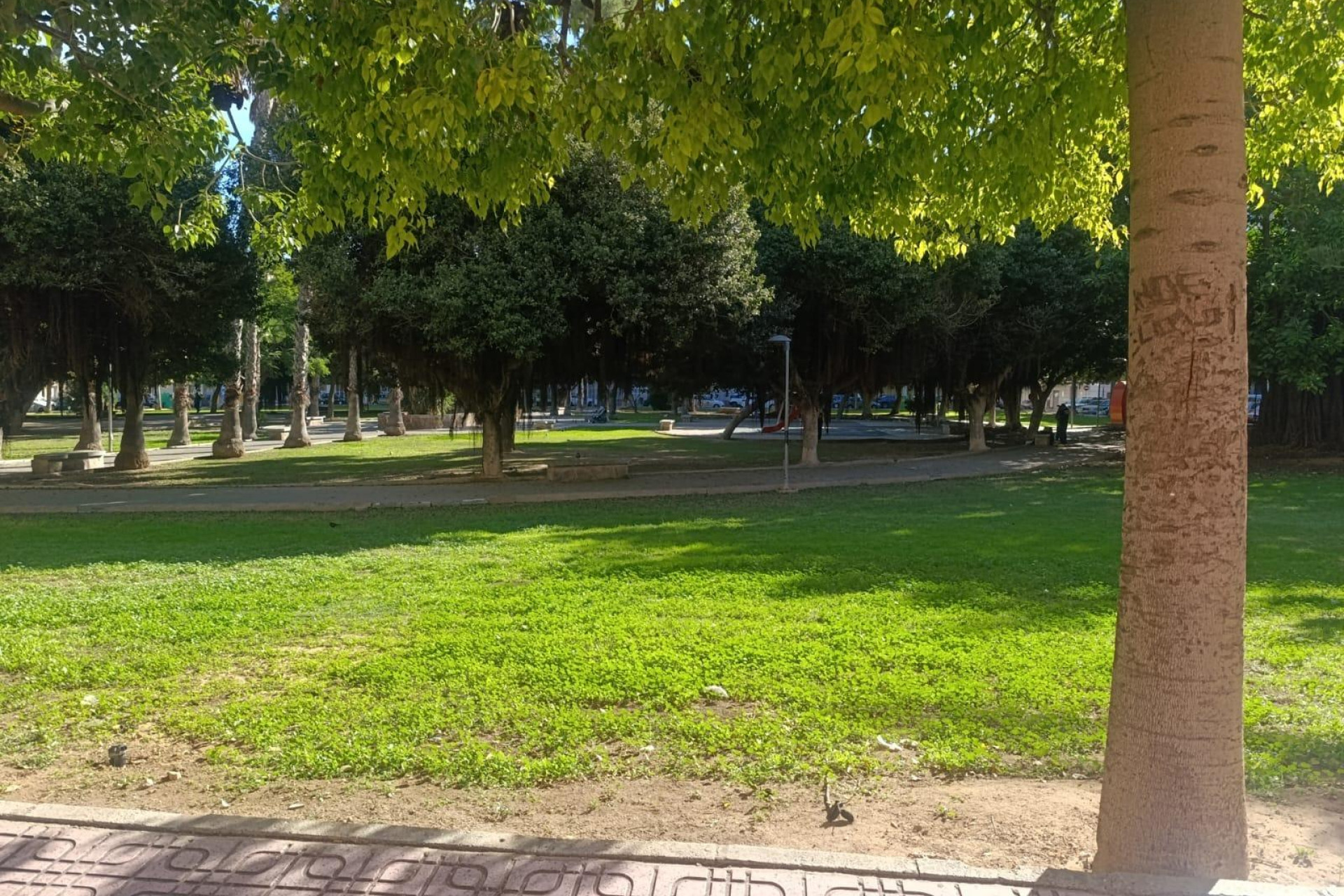 Resale - Apartment - Torrevieja - Acequion