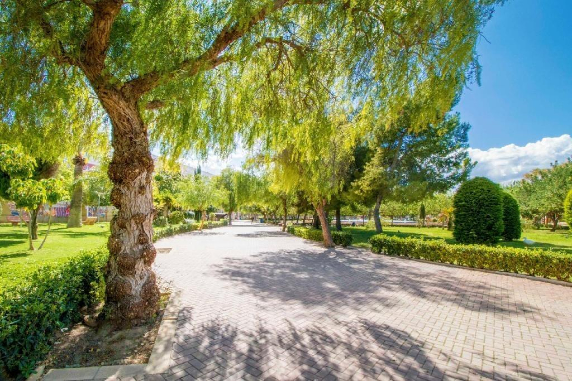 Resale - Apartment - Torrevieja - Centro