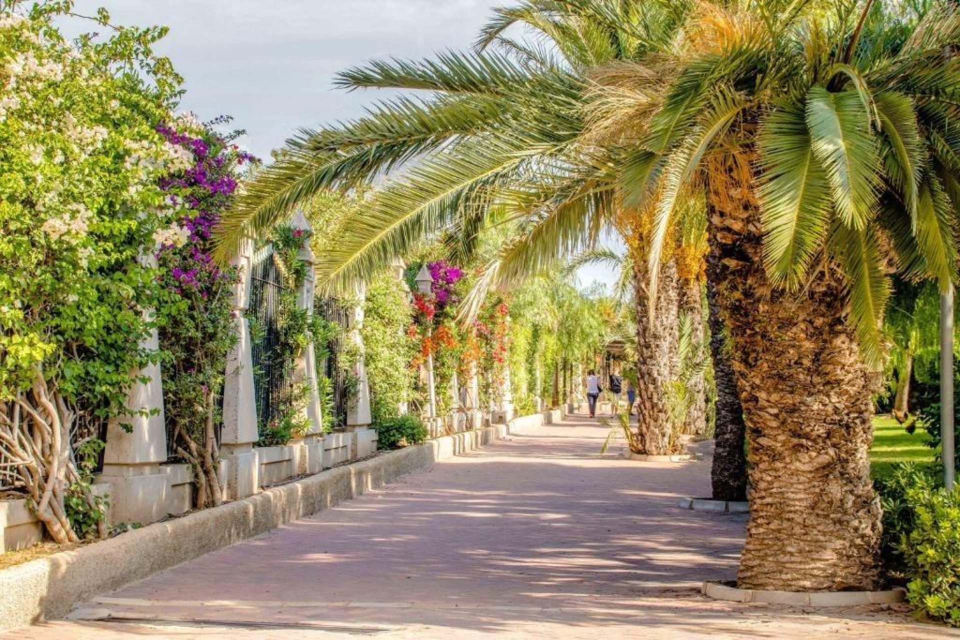 Resale - Apartment - Torrevieja - Centro