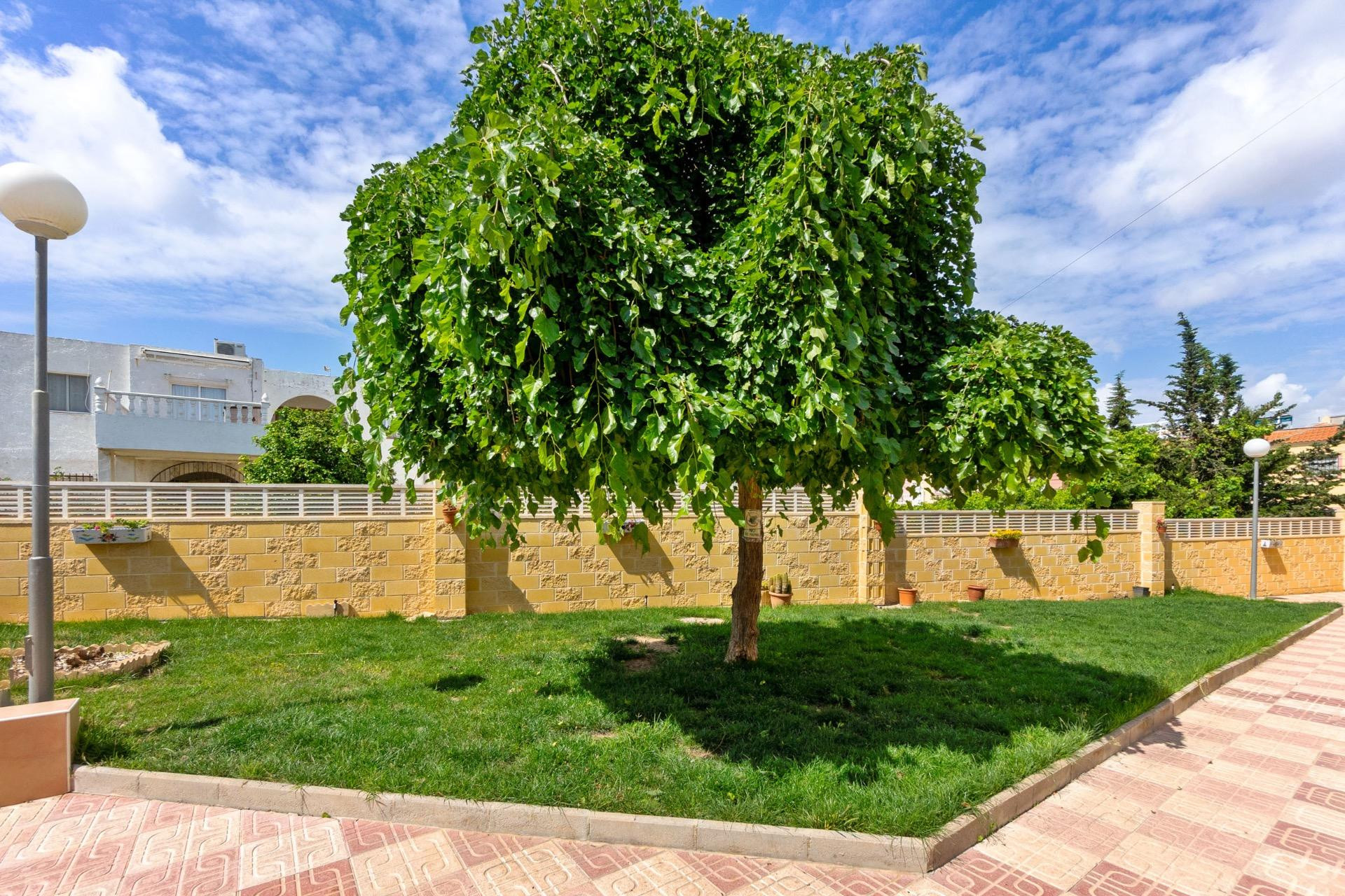 Resale - Apartment - Torrevieja - El Chaparral