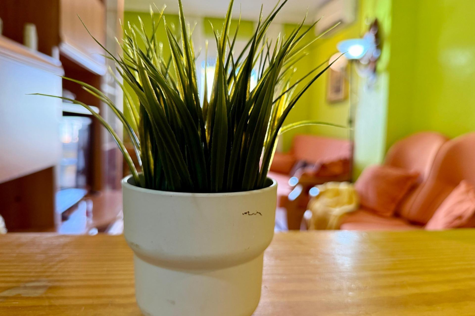 Resale - Apartment - Torrevieja - El molino